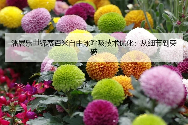 潘展乐世锦赛百米自由泳呼吸技术优化：从细节到突破
