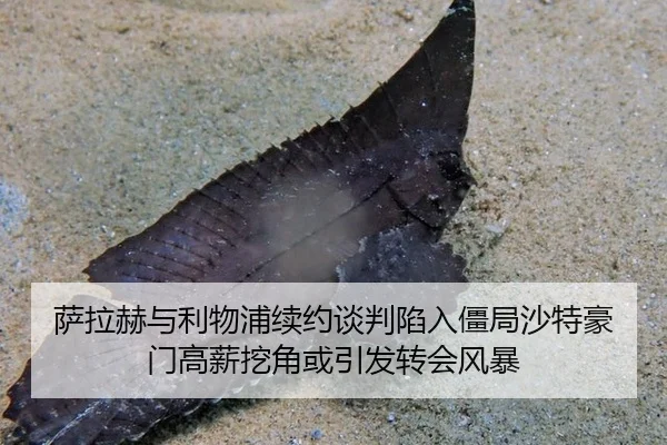 sa-la-he-yu-li-wu-pu-xu-yue-tan-pan-xian-ru-jiang-ju-sha-te-hao-men-gao-xin-wa-jiao-huo-yin-fa-zhuan-hui-feng-bao-2-514.jpg