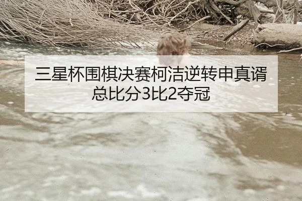 三星杯围棋决赛柯洁逆转申真谞 总比分3比2夺冠